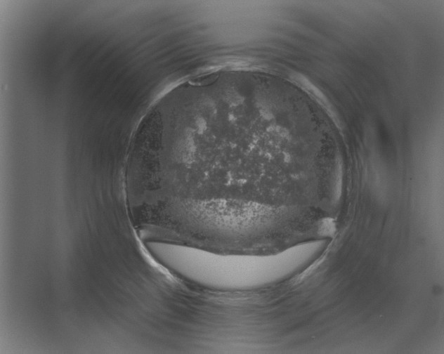 X0000074041433200609061156