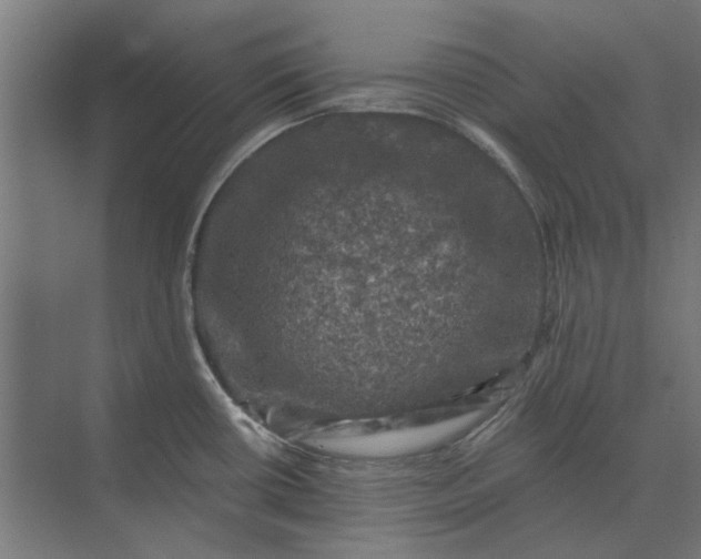 X0000074041434200609061156