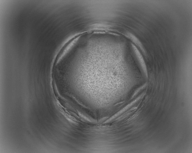 X0000074041435200609061156