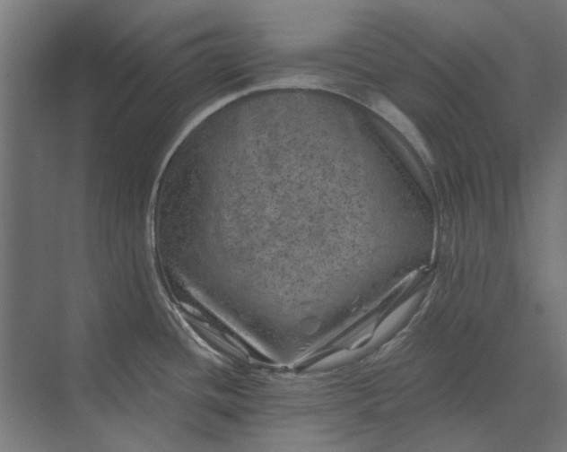 X0000074041436200609061156