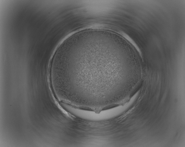 X0000074041437200609061156