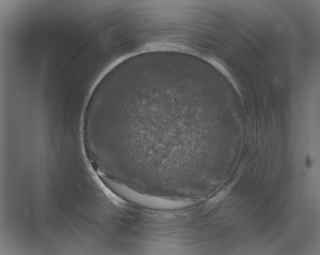 X0000074041438200609061156