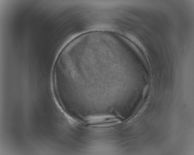 X0000074041440200609061156