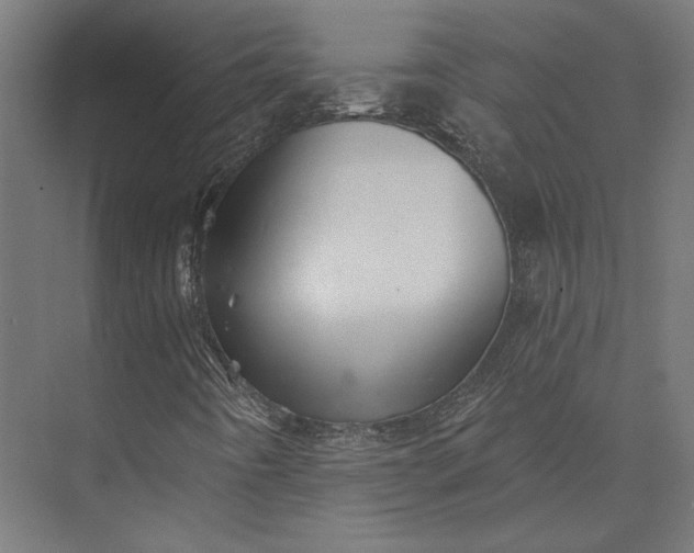 X0000074041442200609061155