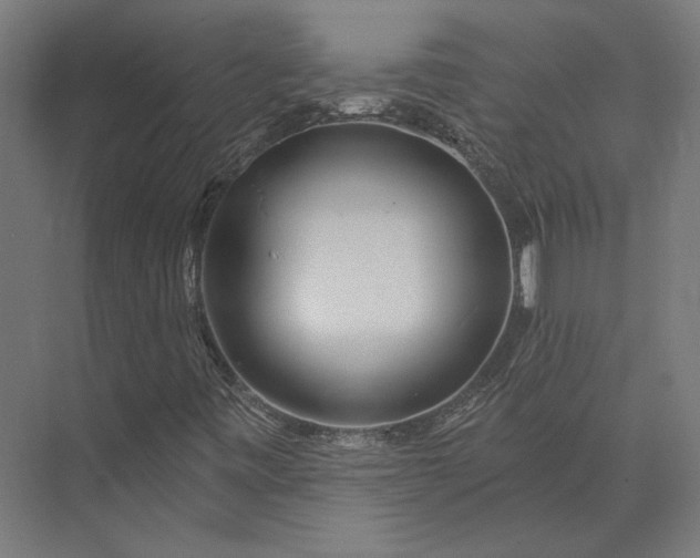 X0000074041443200609061155