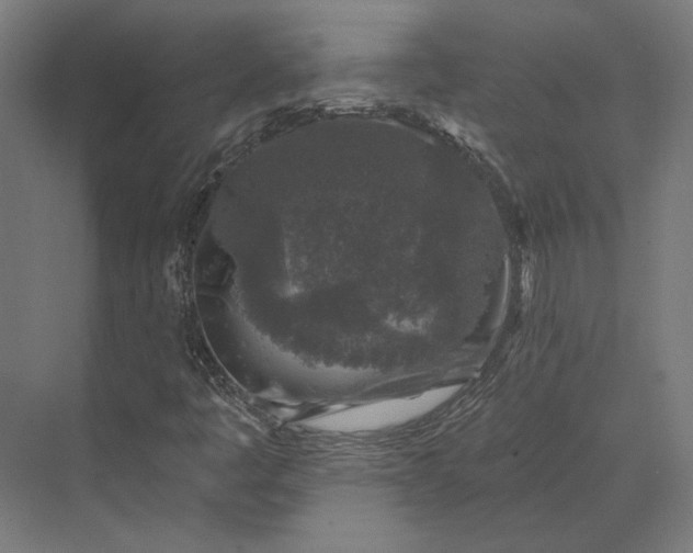 X0000074041445200609061155