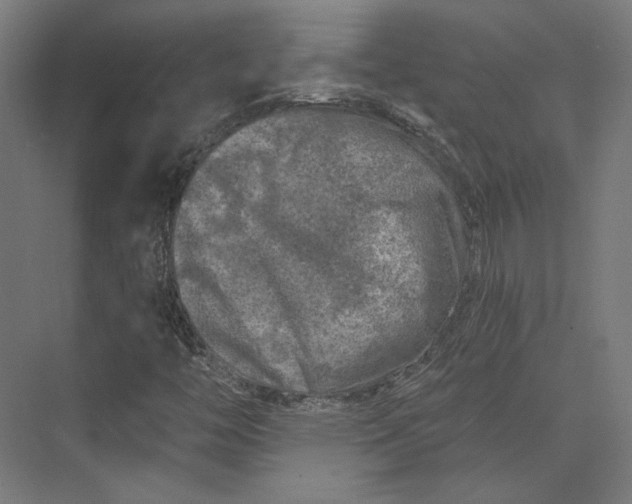 X0000074041446200609061155