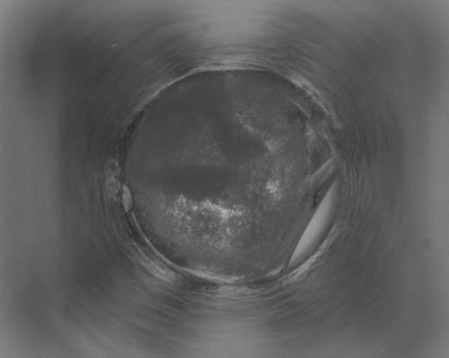 X0000074041449200609061155