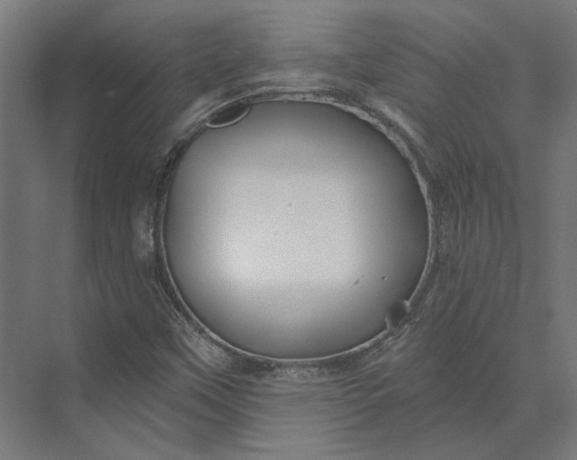 X0000074041451200609061155