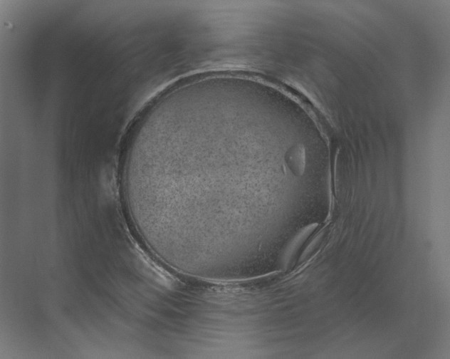 X0000074041452200609061155