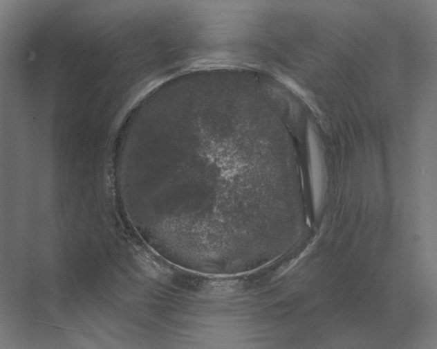 X0000074041453200609061155