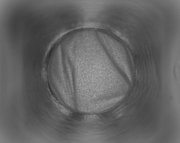 X0000074041454200609061155