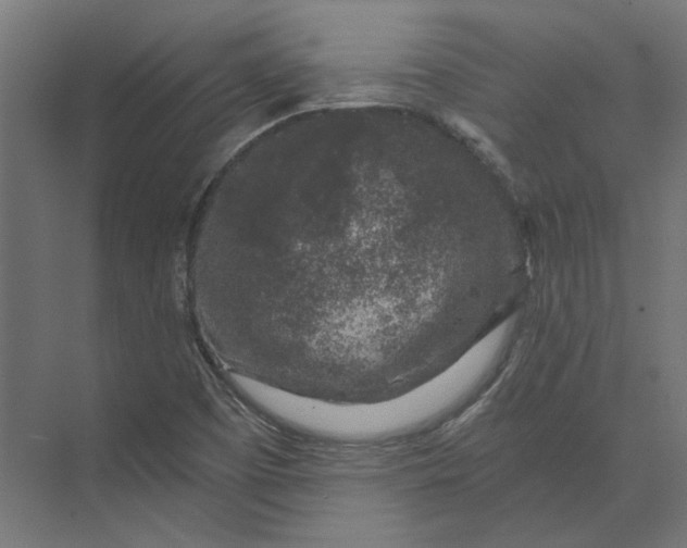 X0000074041457200609061155