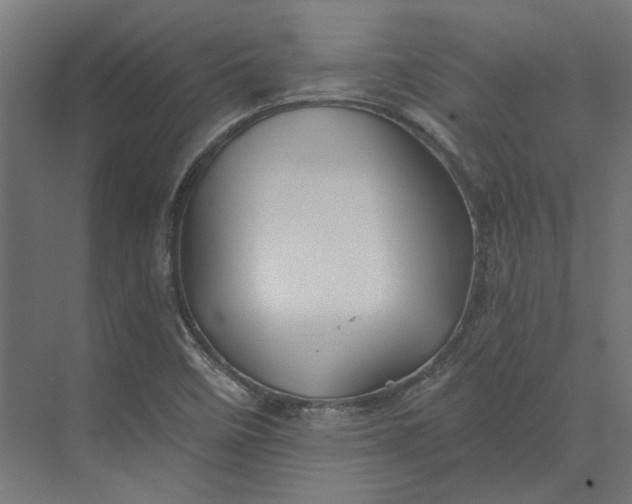 X0000074041458200609061155