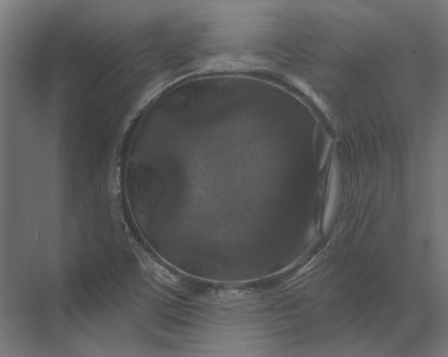 X0000074041459200609061155