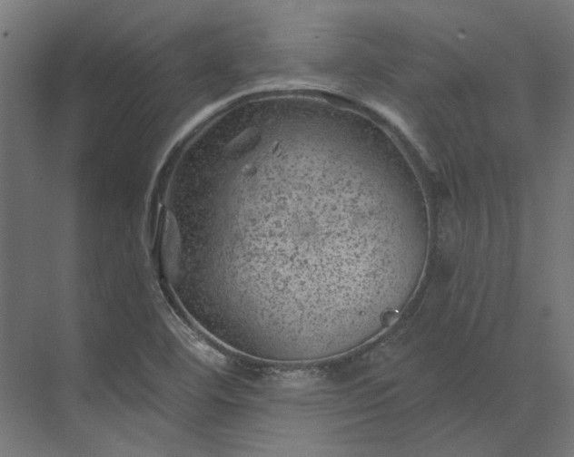 X0000074041460200609061155