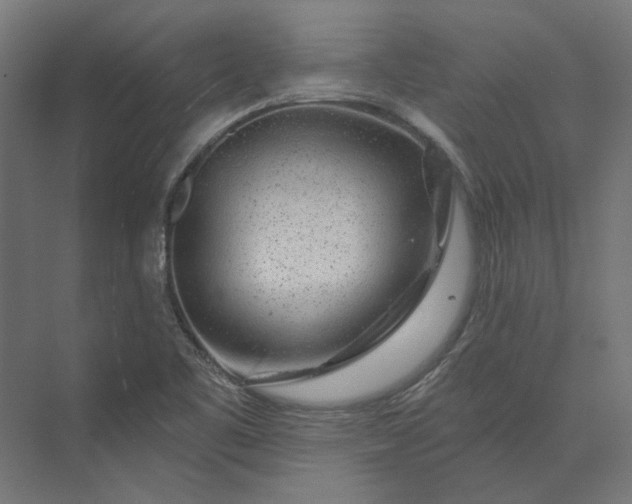 X0000074041461200609061155