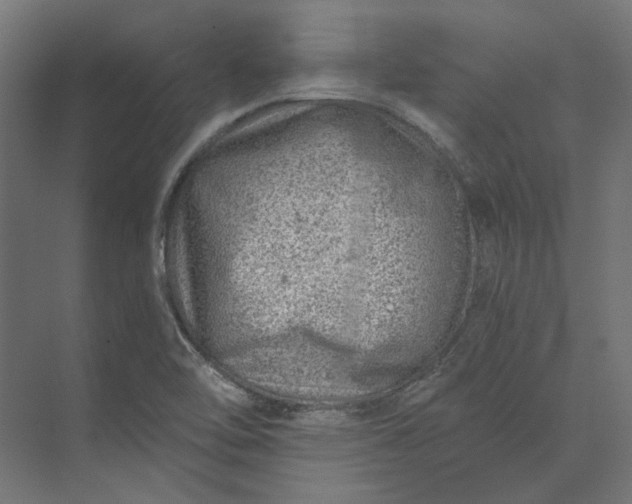 X0000074041462200609061155