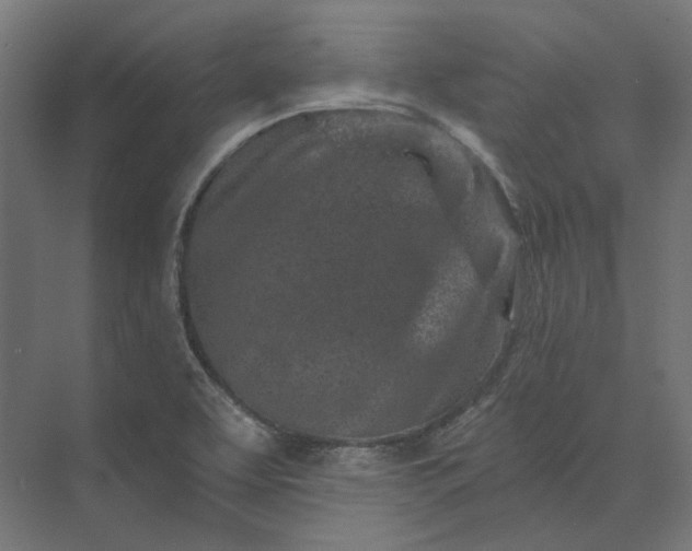 X0000074041463200609061155