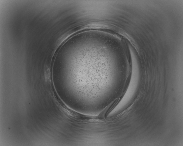 X0000074041465200609061155