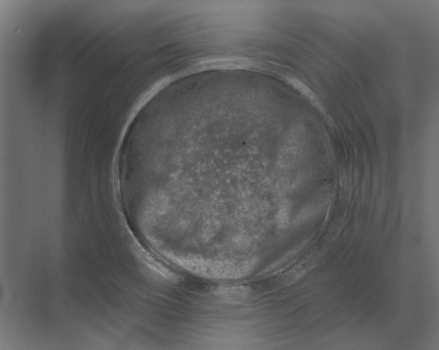 X0000074041466200609061155