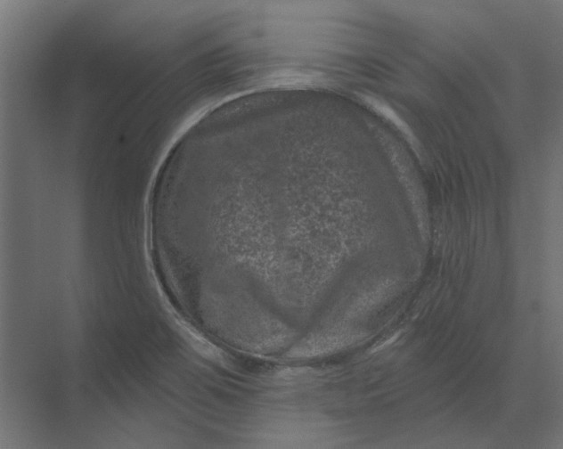 X0000074041467200609061155