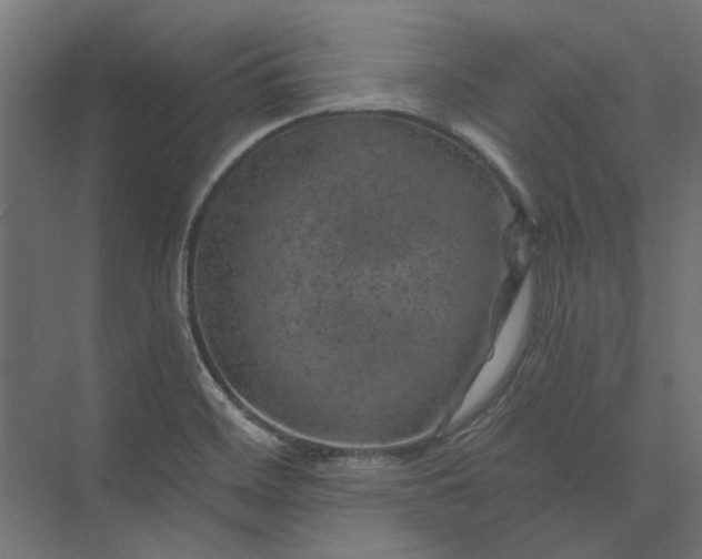 X0000074041468200609061155