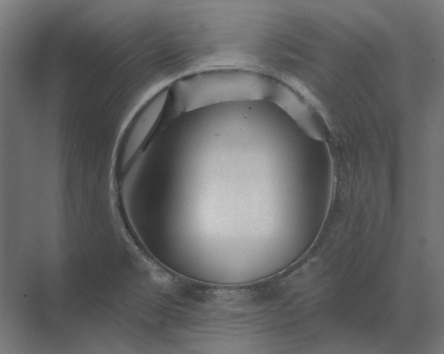 X0000074041469200609061155