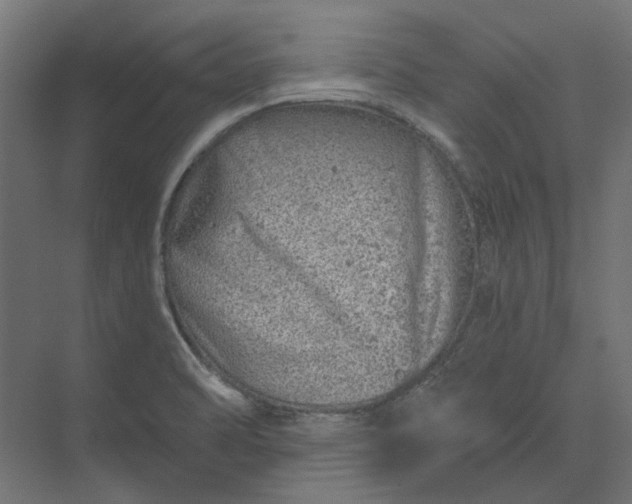 X0000074041470200609061155