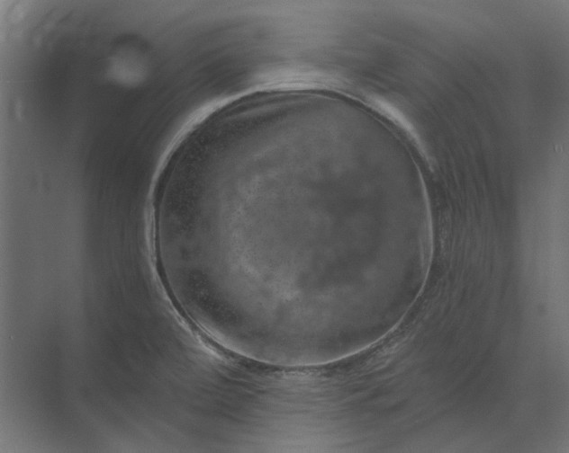 X0000074041472200609061155