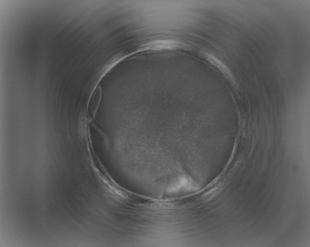 X0000074041473200609061155