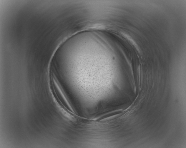 X0000074041475200609061155