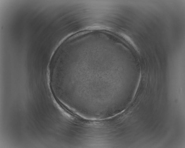 X0000074041476200609061155