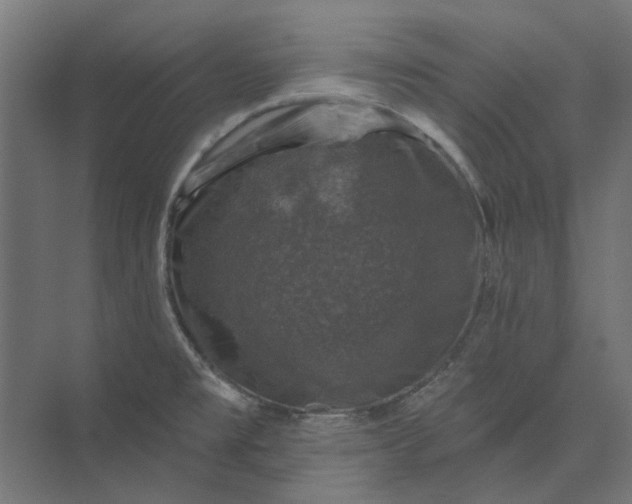 X0000074041477200609061155