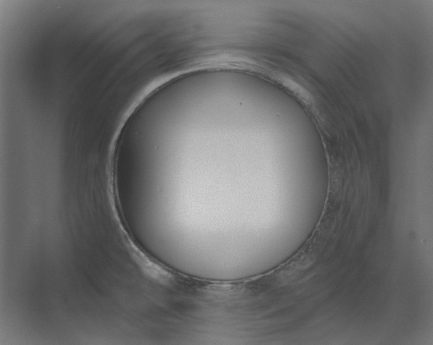 X0000074041478200609061155