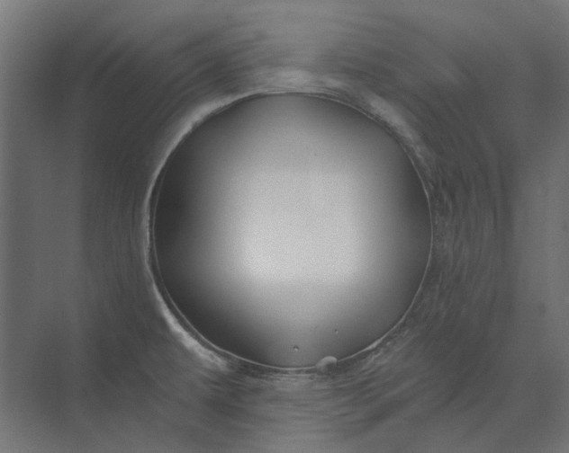 X0000074041479200609061155