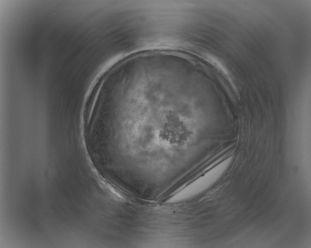 X0000074041480200609061155