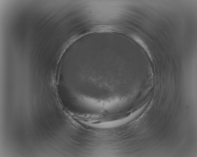 X0000074041481200609061155