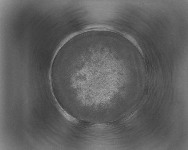 X0000074041482200609061154