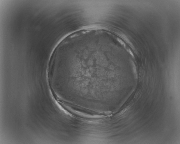 X0000074041484200609061154