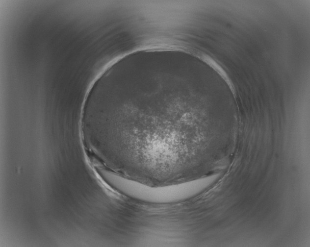 X0000074041485200609061154