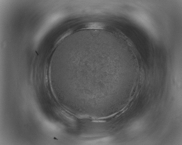 X0000074041487200609061154