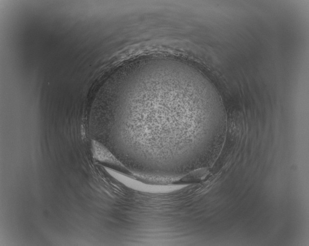 X0000074041490200609061154