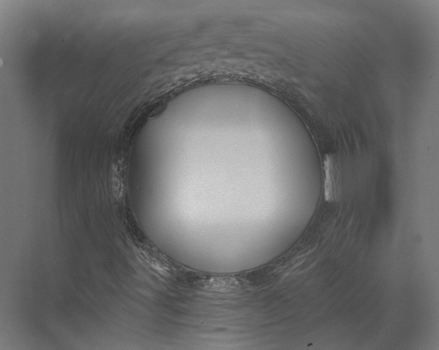 X0000074041491200609061154