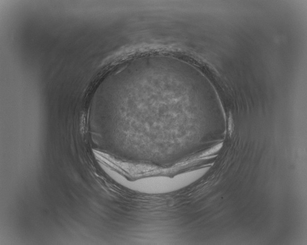 X0000074041492200609061154