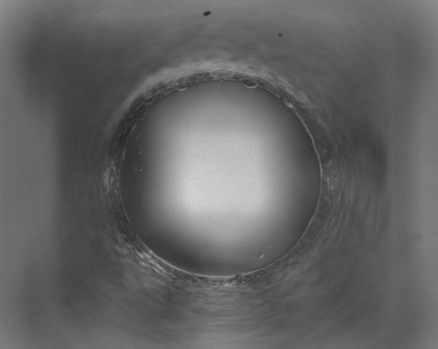 X0000074041495200609061154