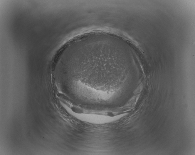 X0000074041496200609061154