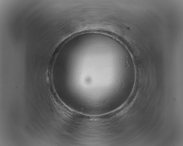 X0000074041497200609061154