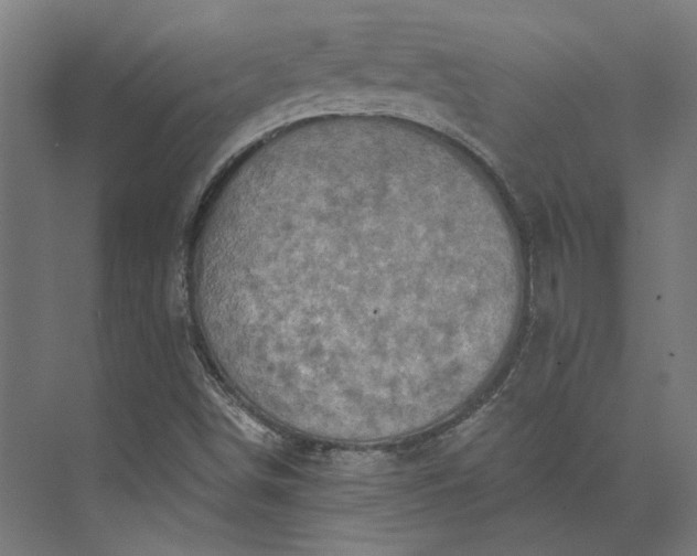 X0000074041498200609061154