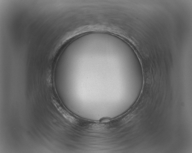 X0000074041499200609061154